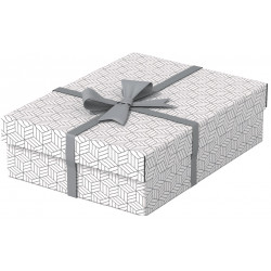 Daiktadėžė ir dovanų dėžutė ESSELTE M 10x27x37cm, baltos spalvos įp.3vnt