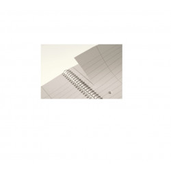 Sąsiuvinis su spirale šone A4/70l ESSELTE linijomis