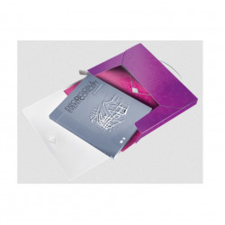 Dėžutė dokumentams LEITZ WOW violetinė sp.