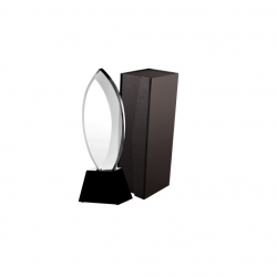 Stiklinis trofėjus C034 aukštis 30cm
