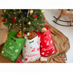Dovanų maišelis Kalėdoms XEPPY 340×440 mm žalias, COOL