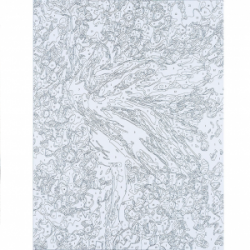 Rinkinys tapybai pagal skaičius BALERINA, 40x50cm Centrum