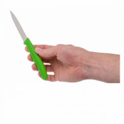 Peiliai VICTORINOX PARING 2 vnt, 8cm, žalios sp.