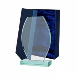 Stiklinis trofėjus G043 aukštis 24cm su dėžute