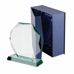 Stiklinis trofėjus G020 170x60x195 mm