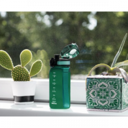 Gertuvė MOTIVA, 500 ml, žalios sp.