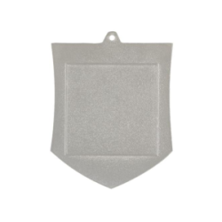 Medalis sidabro KARATE