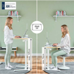 Kompaktiškas reguliuojamas stalas LEITZ ERGO  80x60, baltas